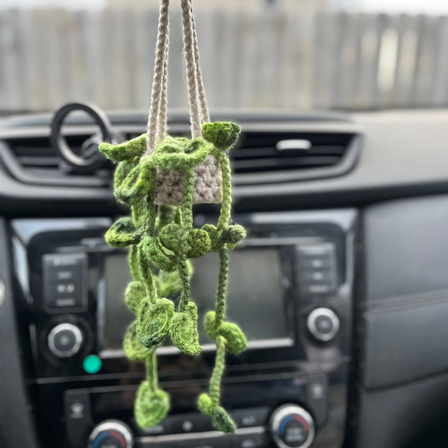 Pothos Car Hanging Plant