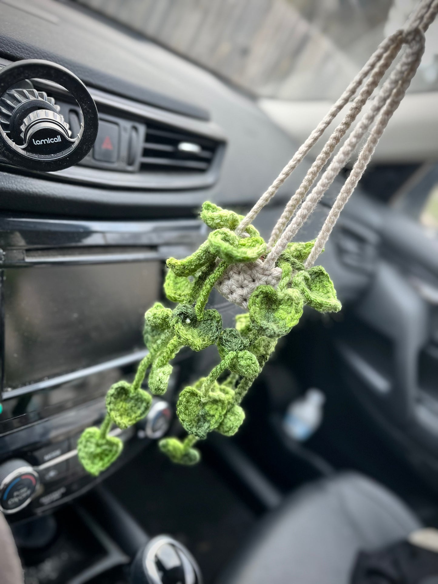 Pothos Car Hanging Plant