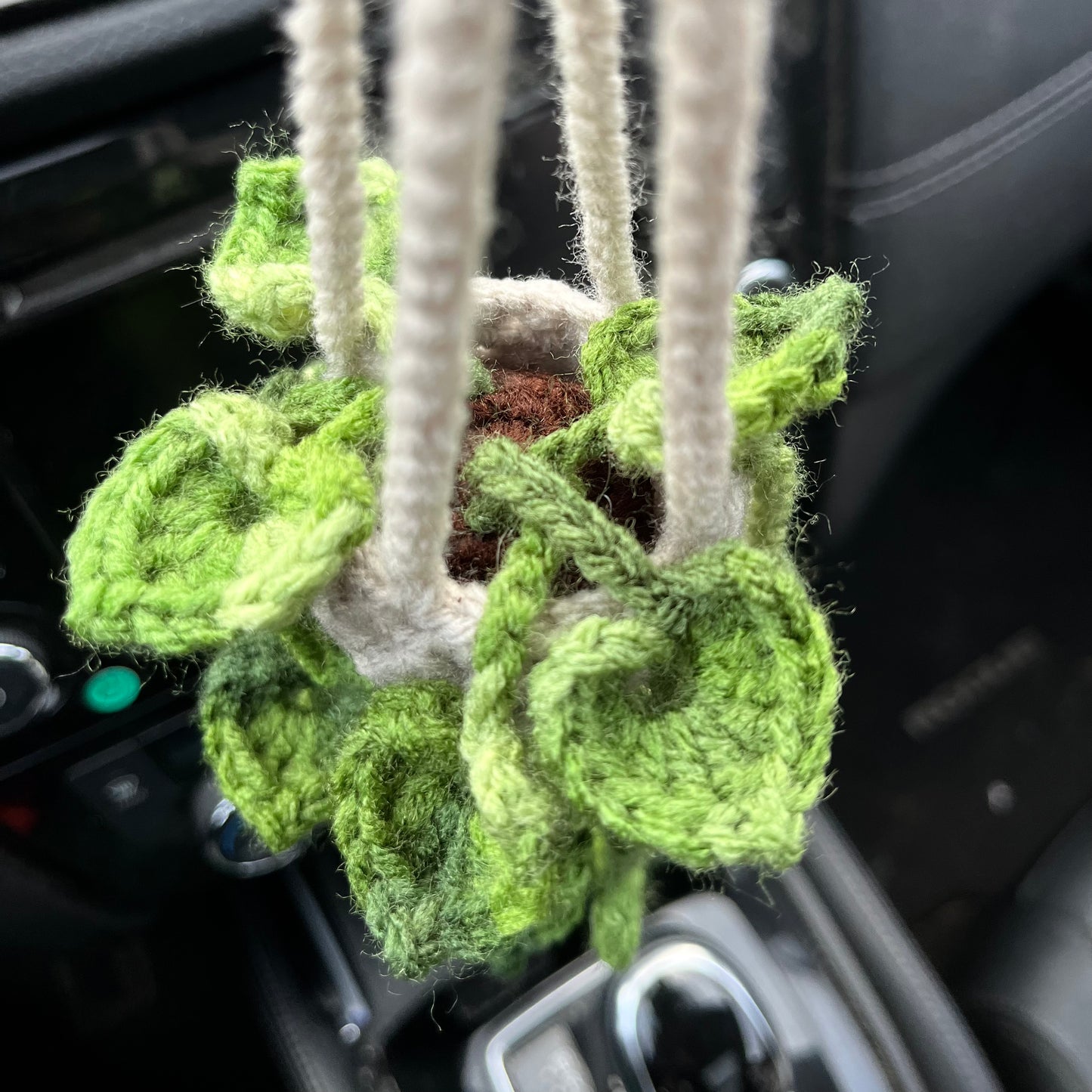 Pothos Car Hanging Plant