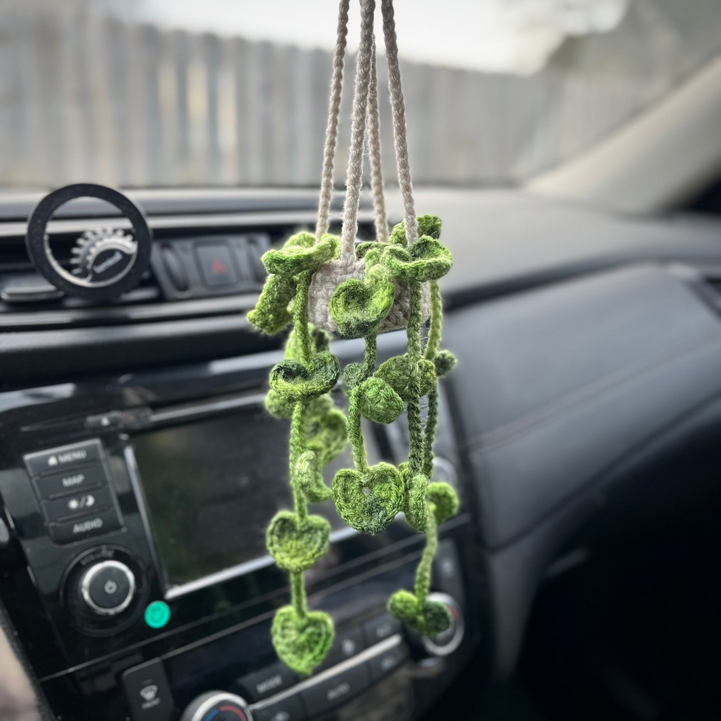 Pothos Car Hanging Plant