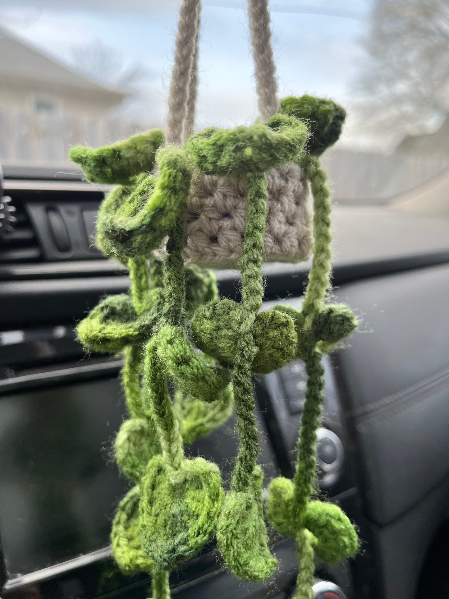 Pothos Car Hanging Plant
