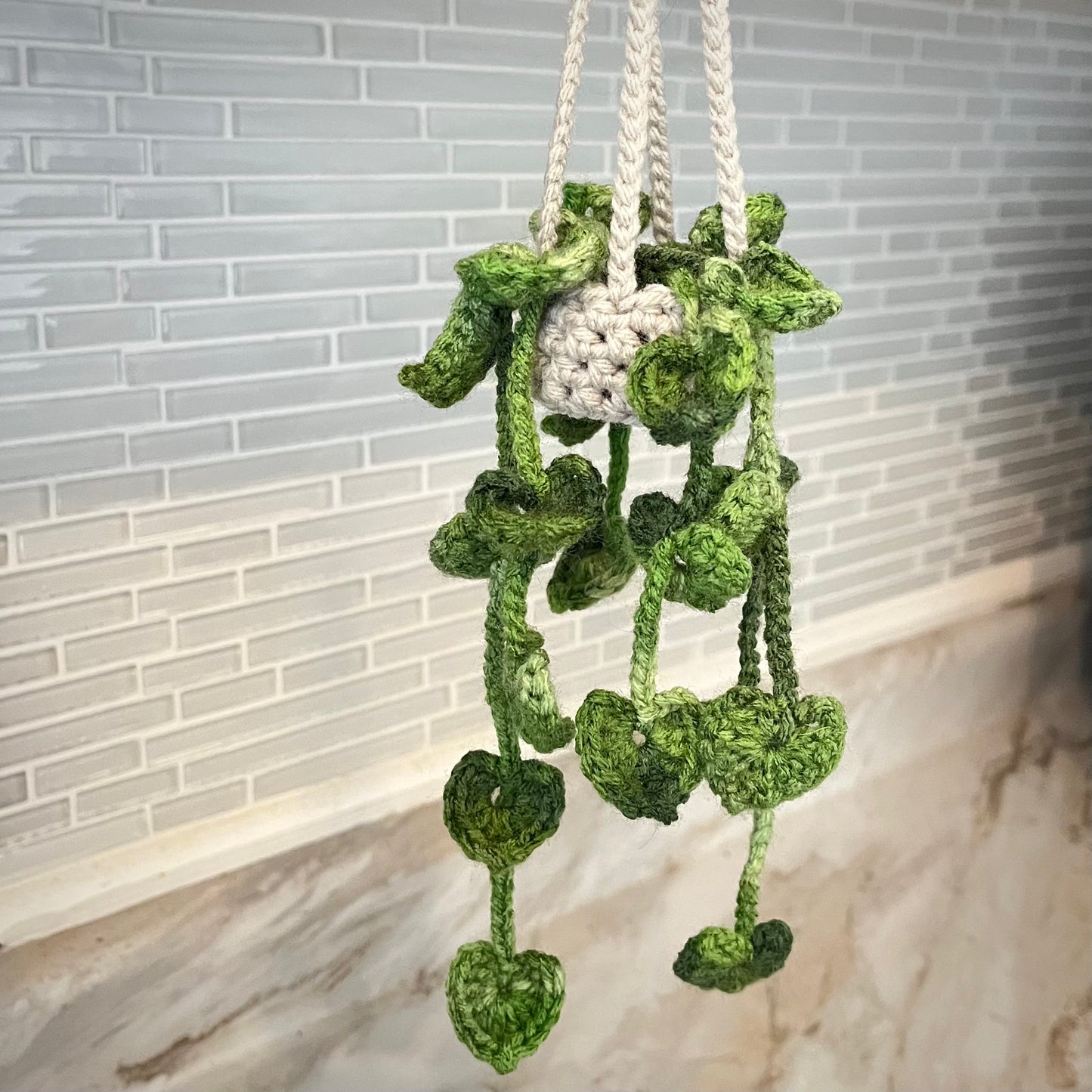 Pothos Car Hanging Plant