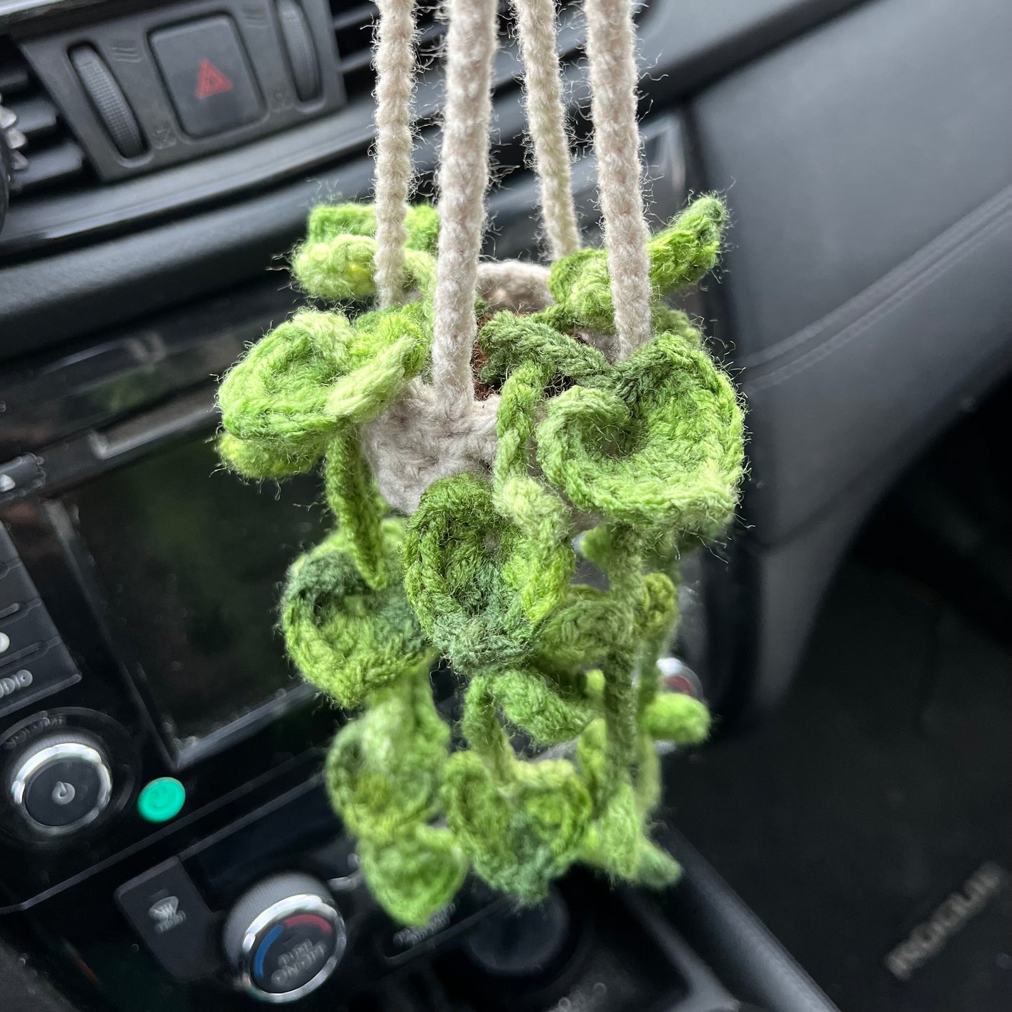 Pothos Car Hanging Plant