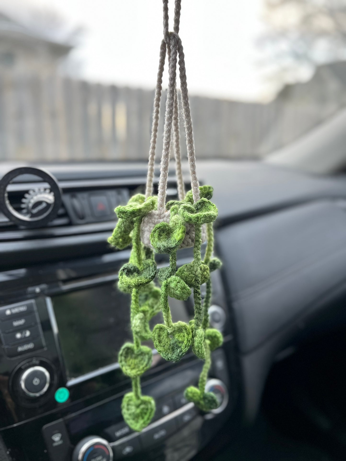 Pothos Car Hanging Plant