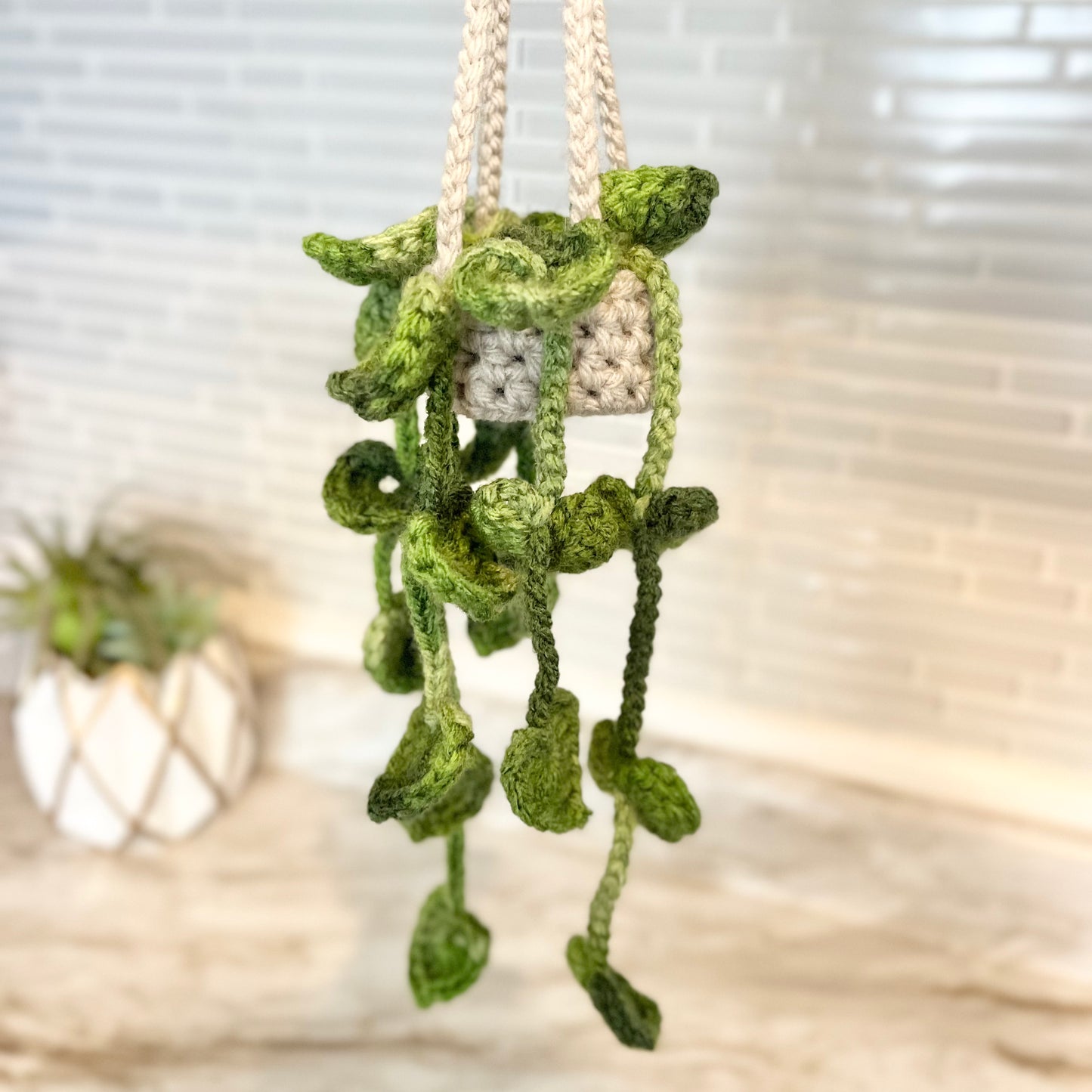 Pothos Car Hanging Plant