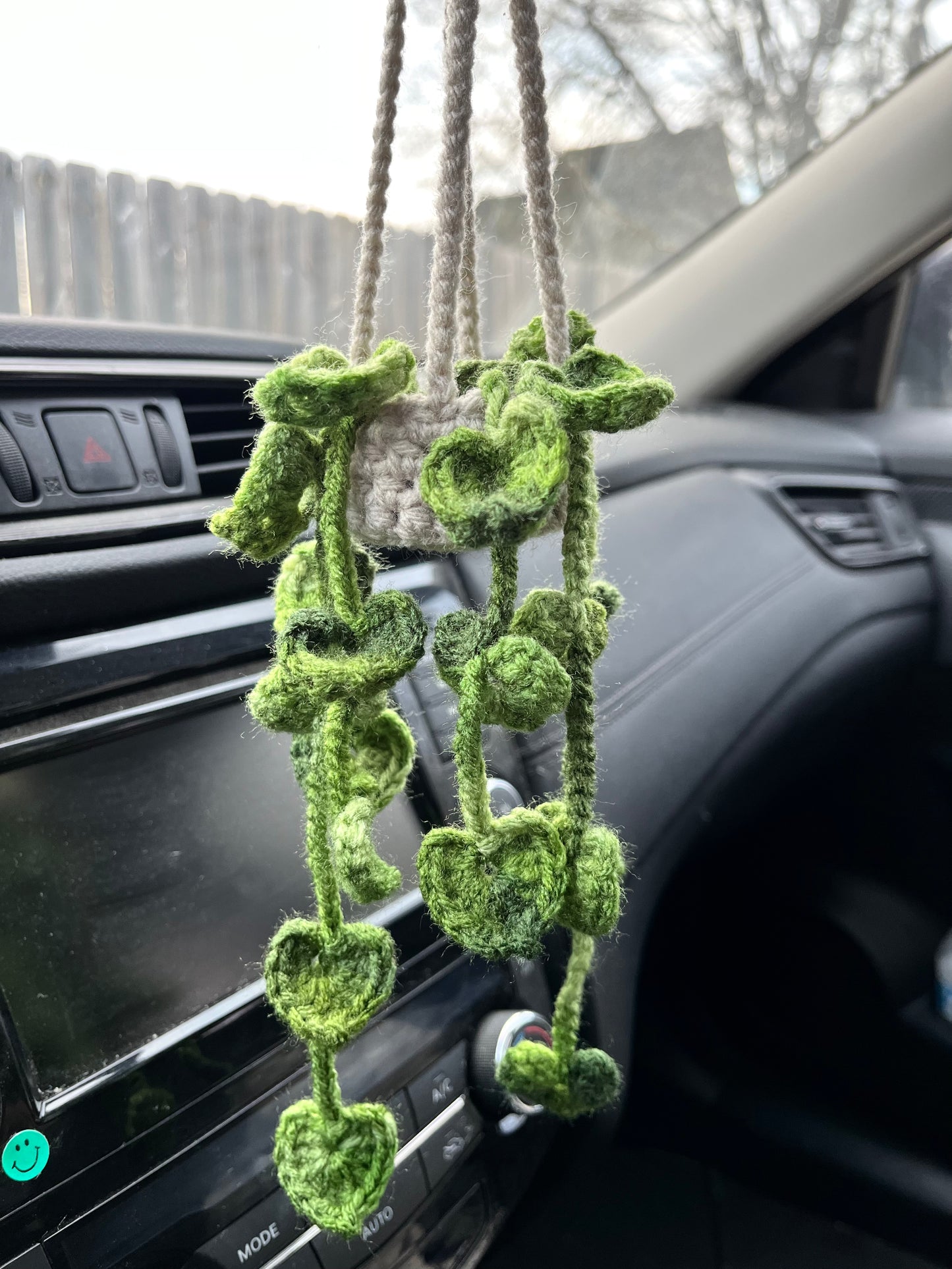 Pothos Car Hanging Plant