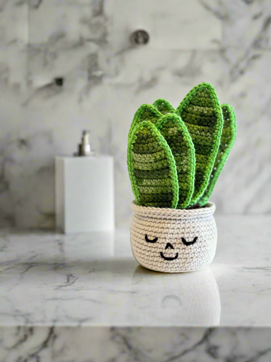 Happy Snake Plant