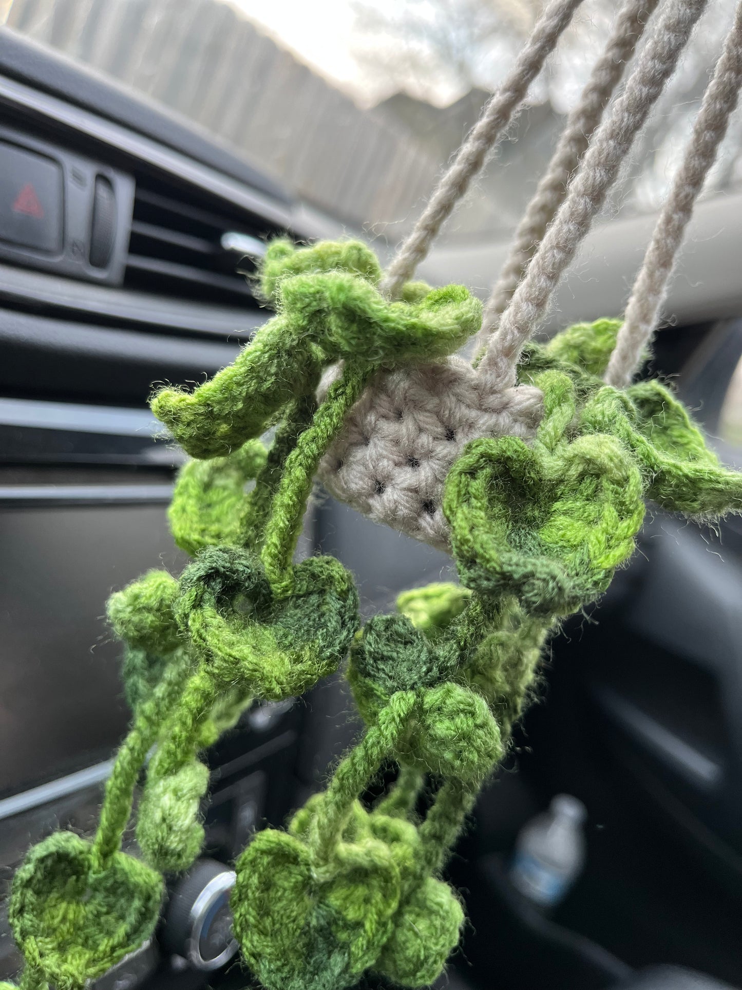 Pothos Car Hanging Plant
