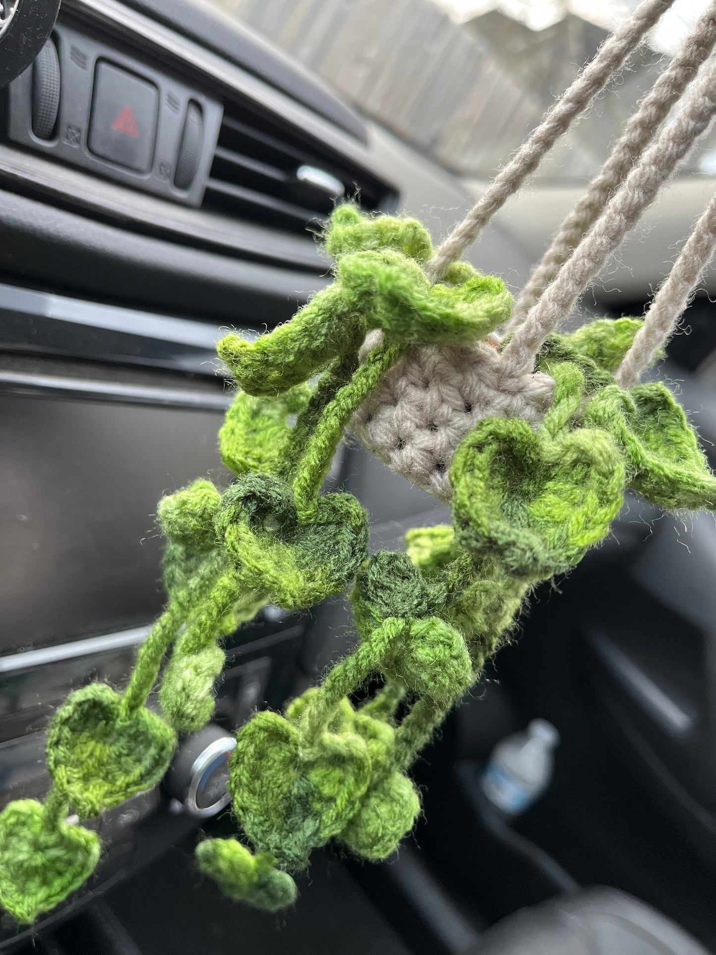 Pothos Car Hanging Plant