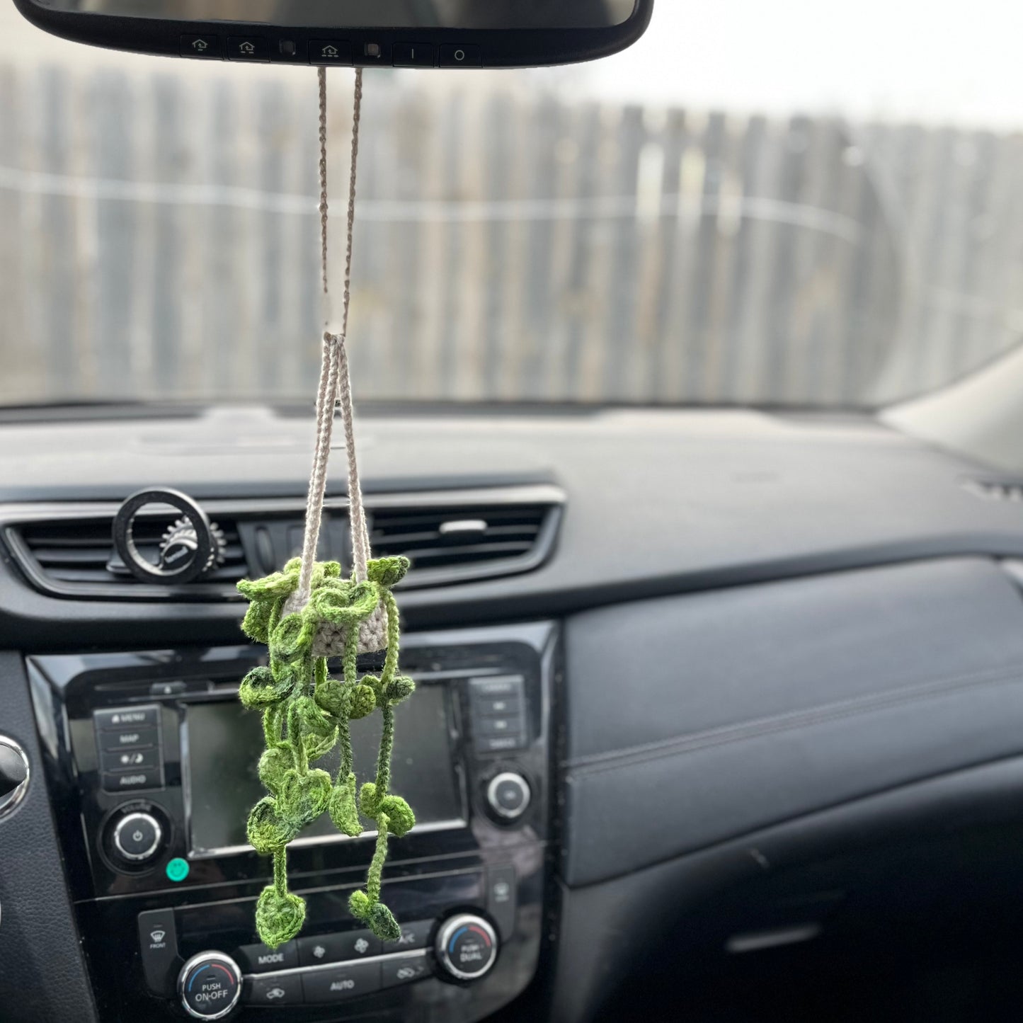 Pothos Car Hanging Plant