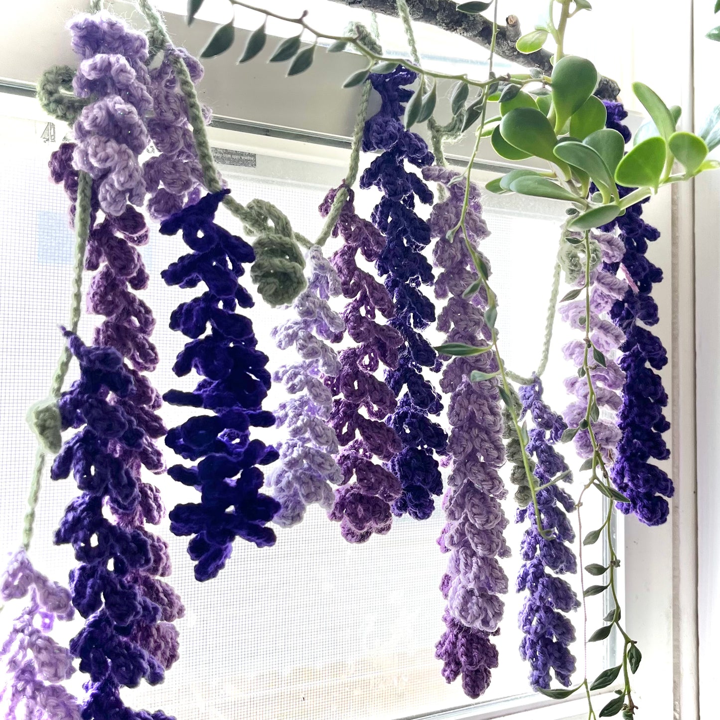 Wisteria Wall Decor