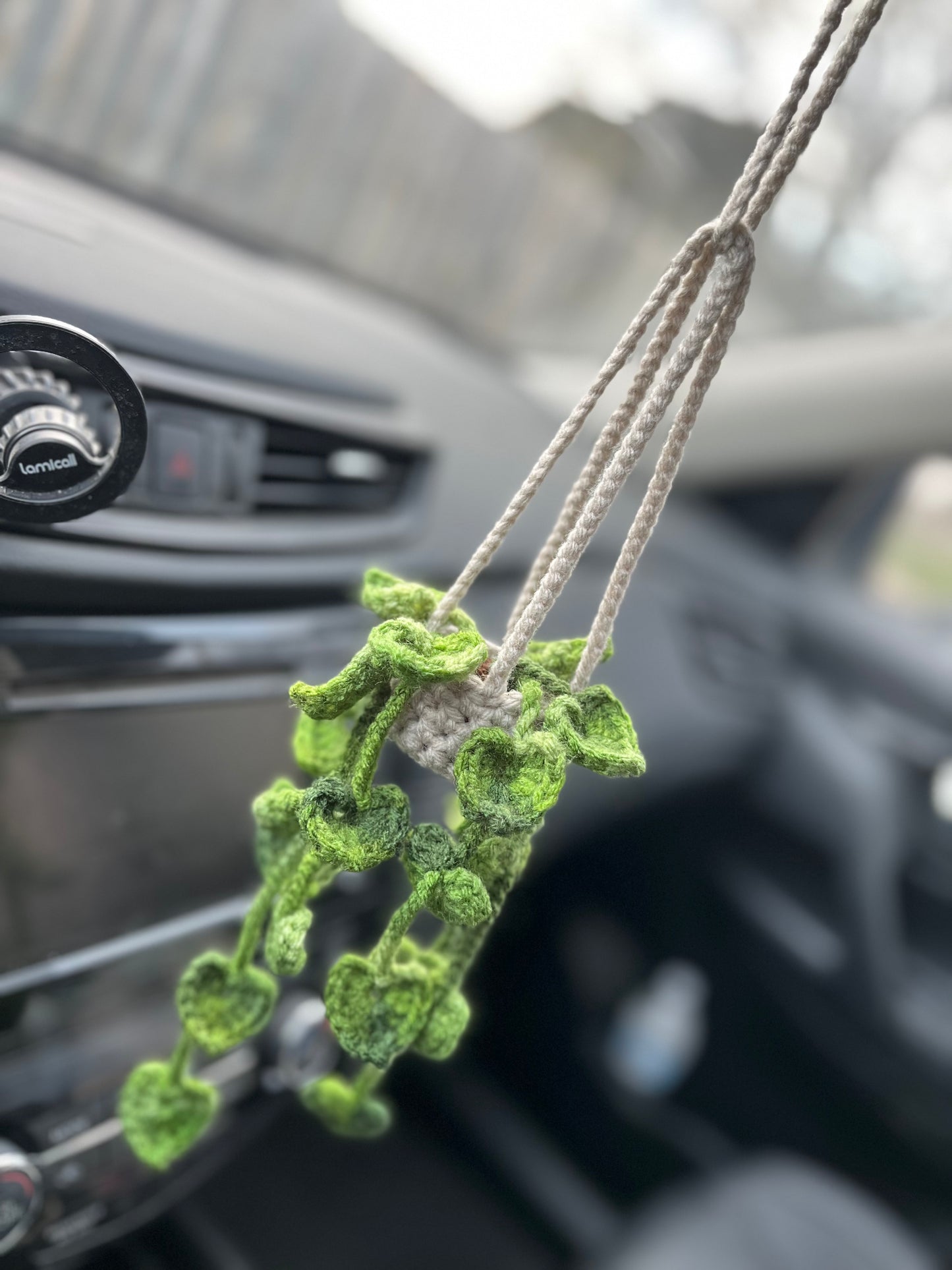 Pothos Car Hanging Plant